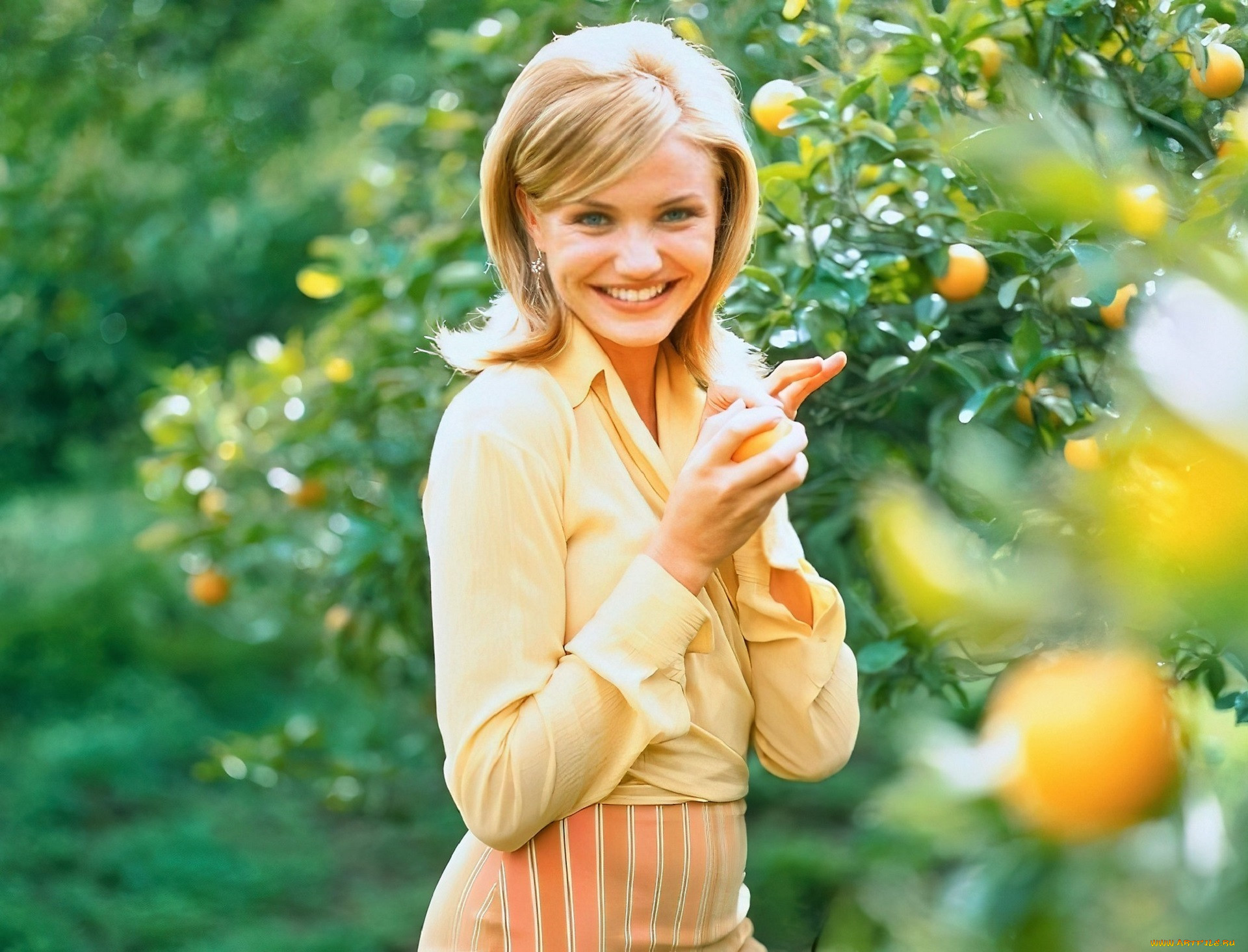 , cameron diaz, , , , 